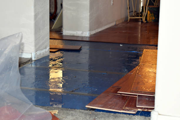 Professional Burst Pipe Cleanup technician working in Watertown, NY